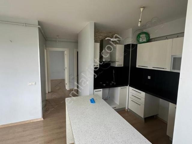 Tuzla, İstanbul içerisinde kiralık mülk