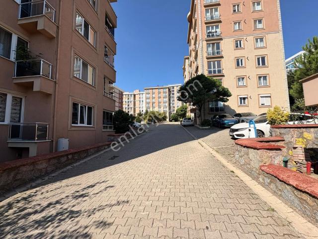 Çamlık Mahallesi, Pendik içerisinde kiralık mülk
