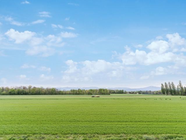 Büro mieten in Gland, Waadt