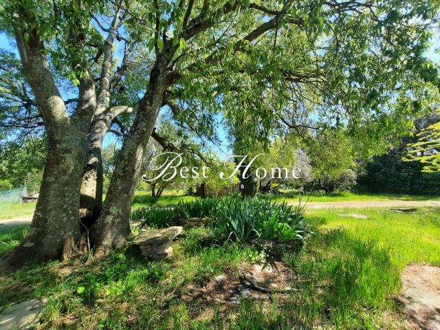 Maison vente à Nîmes