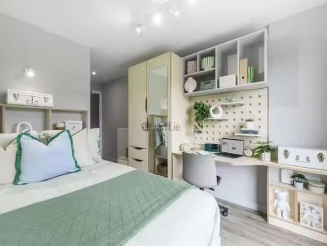 Apartment to rent