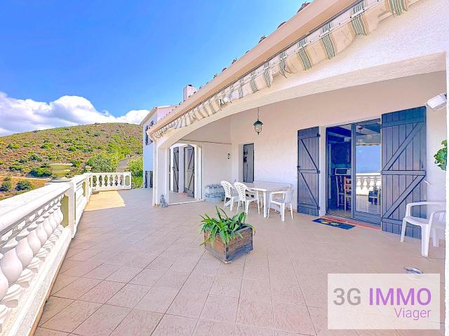 Maison vente à Calvi, Novella