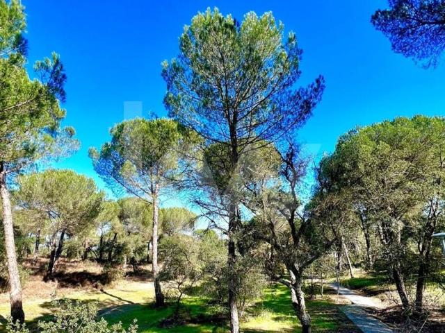 Terreno venda em Santo Estevão, Santo Estêvão