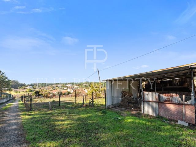 Quinta venda em Azambuja, Lisboa