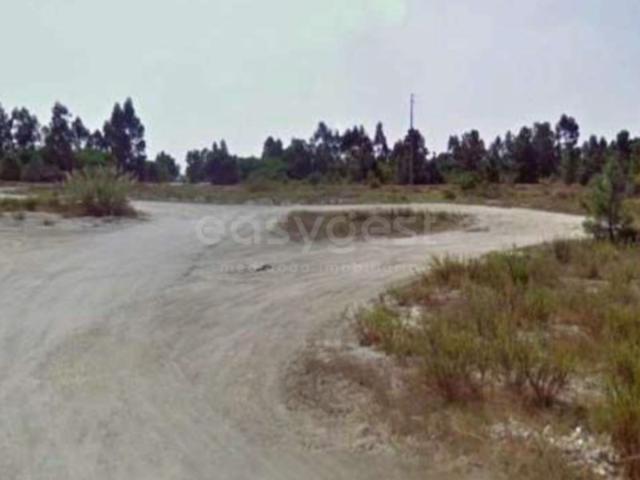 Terreno venda em Colonato de Santo Isidro de Pegões, Montijo