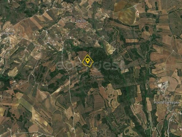 Terreno venda em Santarém
