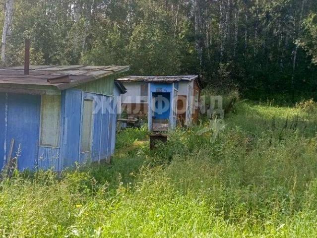 Квартира продажа в Новосибирск, Новосибирская область