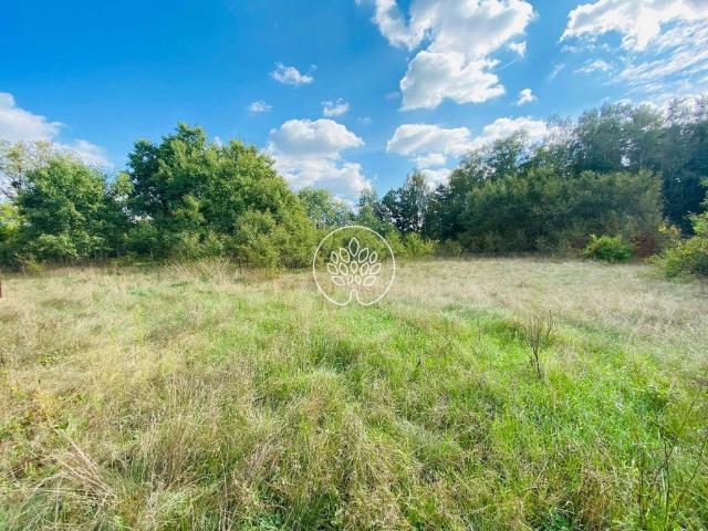 Grunt na sprzedaż w Nowa Wieś Wielka, Kujawsko-pomorskie