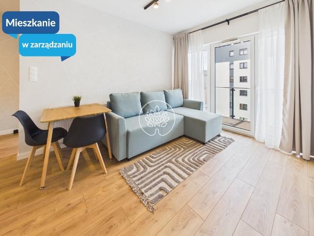 Mieszkanie do wynajęcia w Bydgoszcz, Kujawsko-pomorskie