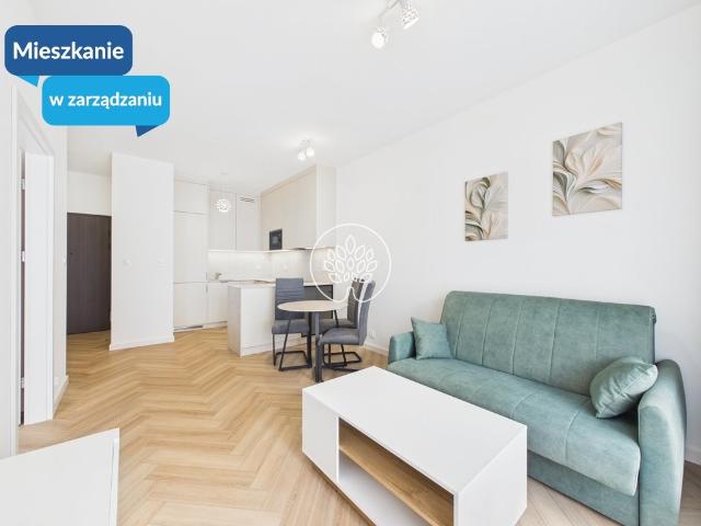 Mieszkanie do wynajęcia w Wzgórze Wolności, Bydgoszcz