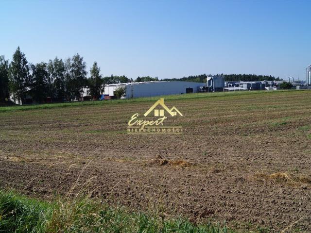 Grunt na sprzedaż w Nowe Miasto Lubawskie, Warmińsko-mazurskie