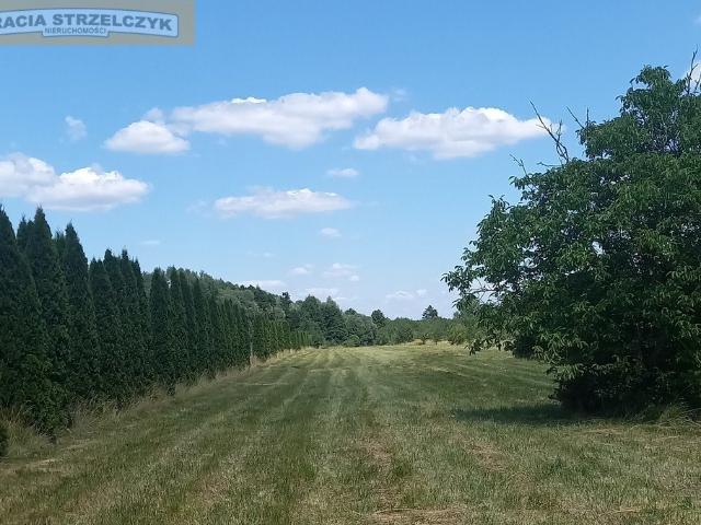 Grunt na sprzedaż w Stróżewo, Mazowieckie