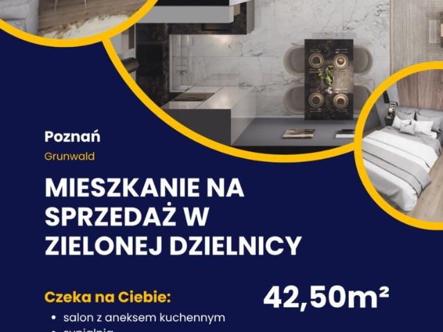 Mieszkanie na sprzedaż w Poznań, Wielkopolskie