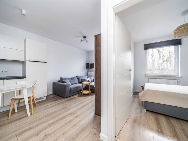 Mieszkanie do wynajęcia w Wilda, Poznań