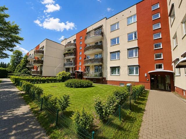 Mieszkanie do wynajęcia w Katowice, Śląskie