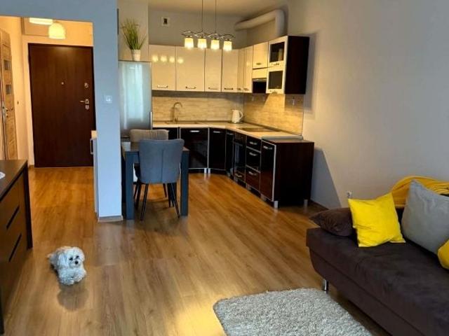 Mieszkanie do wynajęcia w Ruczaj, Kraków