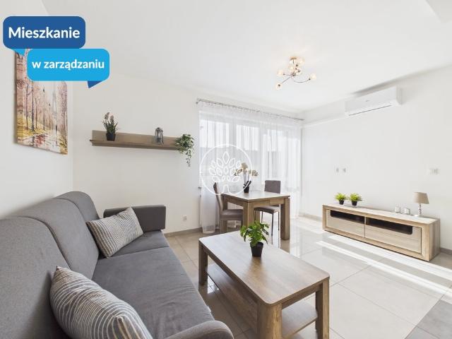 Mieszkanie do wynajęcia w Bydgoszcz, Kujawsko-pomorskie