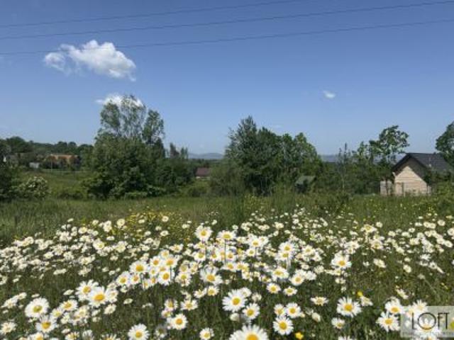 Grunt na sprzedaż w Nowy Sącz, Małopolskie