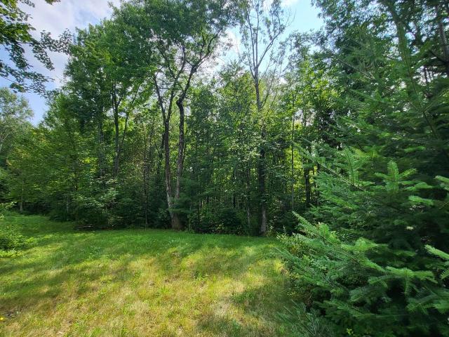 Land for sale in New Hampshire