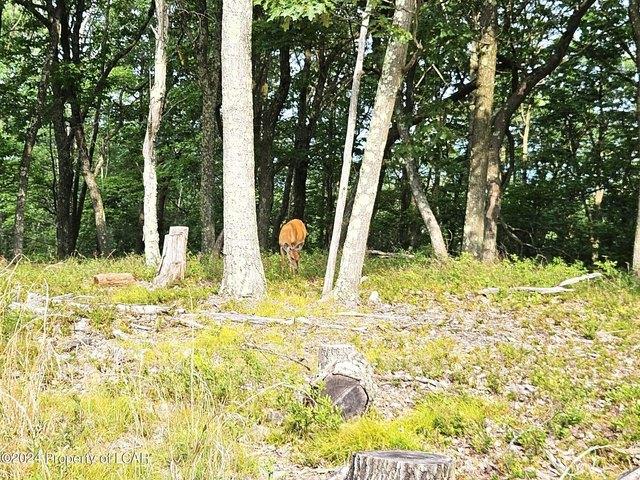 Land for sale in Harleigh, Pennsylvania