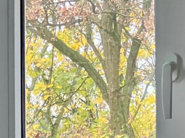 Haus kaufen in Stoppenberg, Essen