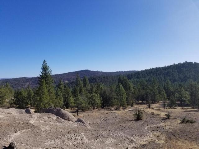 Land for sale in Bieber, California