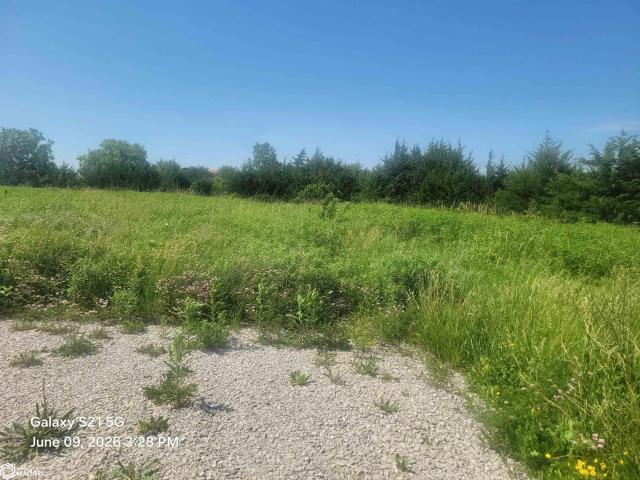 Land for sale in Ringgold, Iowa