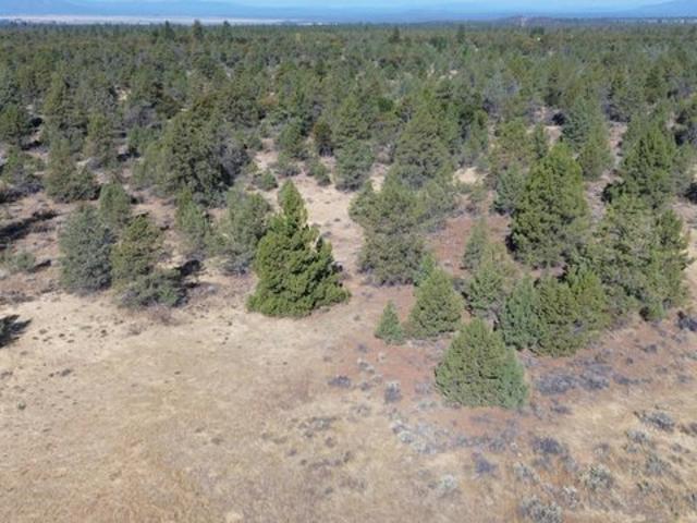 Land for sale in Modoc, California