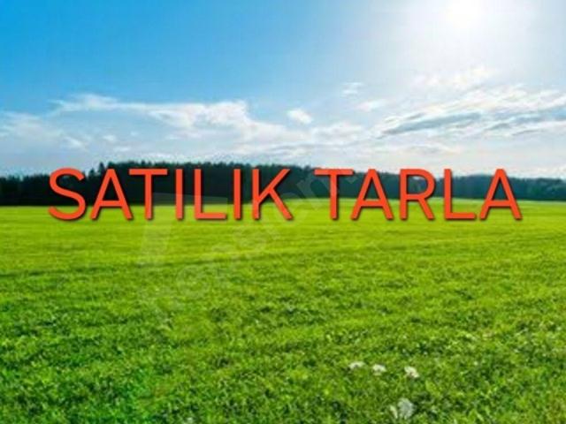 Acipayam, Denizli içerisinde satılık Arsa