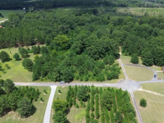 Land for sale in Cochran, Georgia