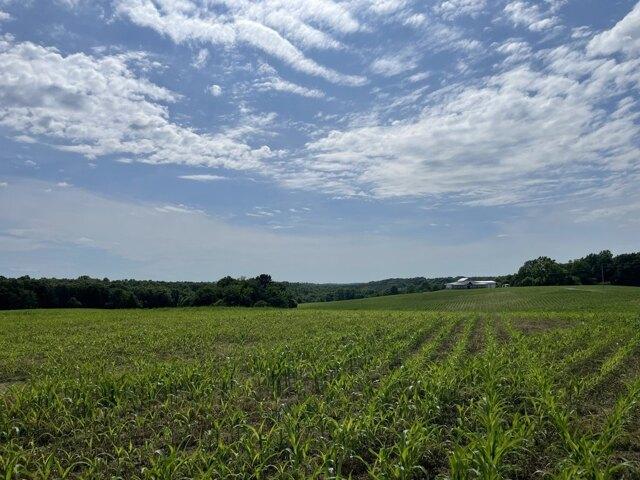 Land for sale in Westmoreland