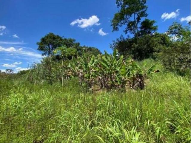 Sítio e chácara venda em Região Geográfica Imediata do Distrito Federal, Região Integrada de Desenvolvimento do Distrito Federal e Entorno