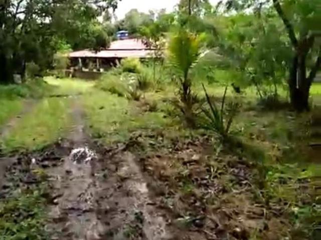 Sítio e chácara venda em Ceilândia, Distrito Federal