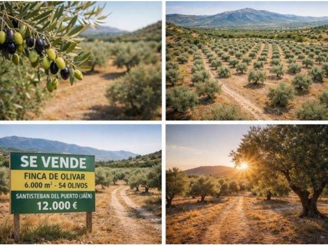 Local Comercial en venta en Santisteban Del Puerto, Andalucía