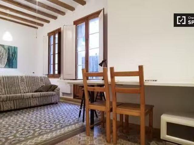 Apartamento en alquiler en Ciutat Vella, Barcelonès