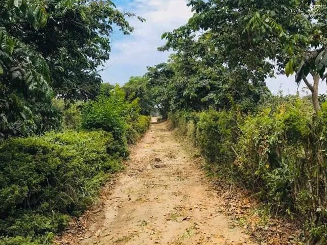 Terreno venta en Huaral, Lima Metropolitana