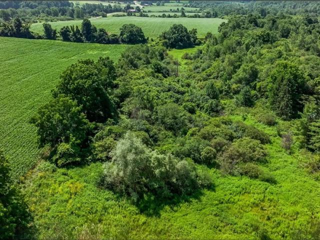 Land for sale in Fabius, New York