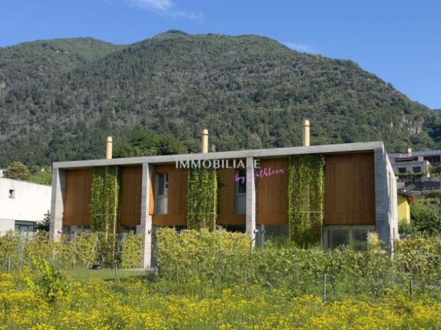 Reihenfamilienhaus kaufen in Terre di Pedemonte, Tessin