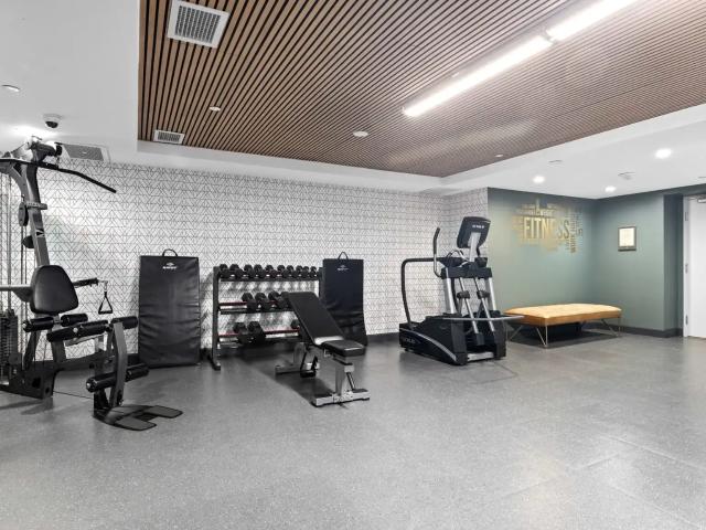 Apartment for rent in Little Italy, Ottawa