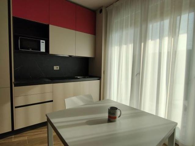 Monolocale in affitto a Sorbolo, Reggio Emilia