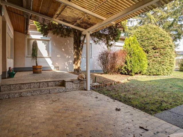 Haus kaufen in Gänserndorf, Niederösterreich
