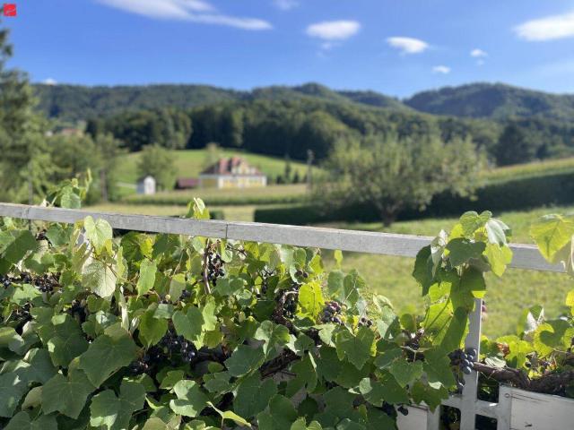 Haus kaufen in Leibnitz, Steiermark