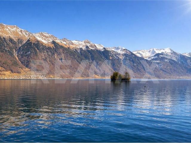 Wohnung kaufen in Iseltwald, Bern