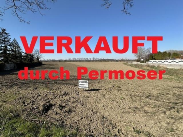 Grundstück kaufen in Neudörfl, Burgenland