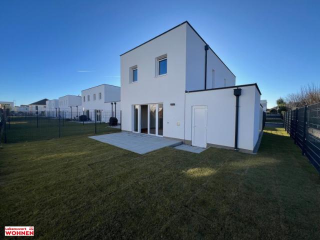 Haus mieten in Groß-Enzersdorf