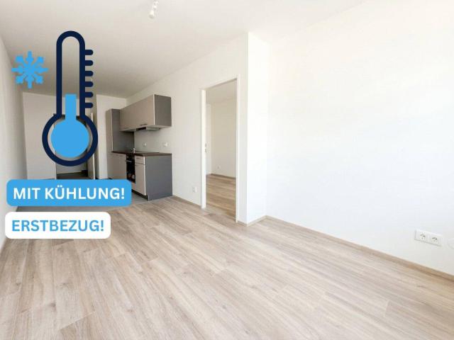Apartment mieten in Wien