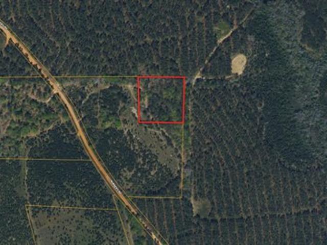 Land for sale in Buena Vista, Georgia