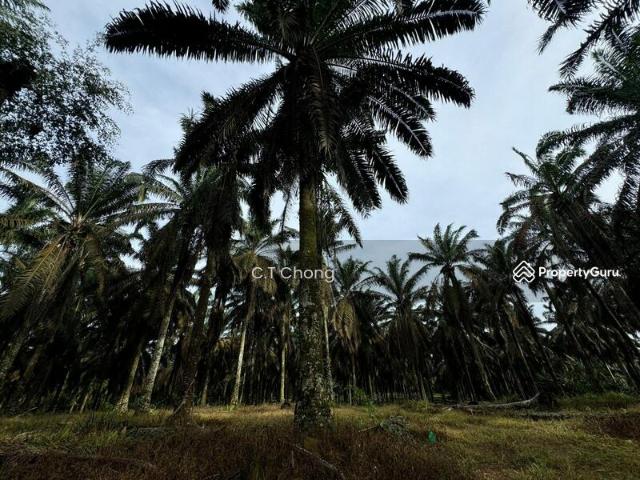 Residential House for sale in Johor