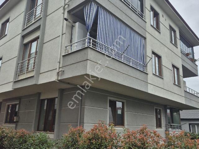 Düzce Merkez, Düzce içerisinde kiralık mülk