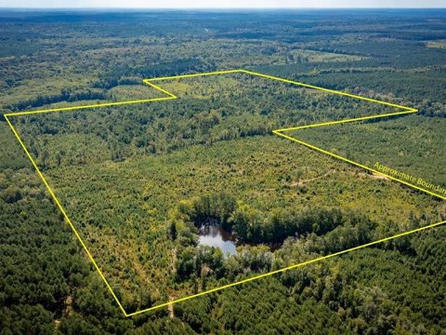 Land for sale in Ark